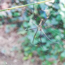 When a Tourist Meets Nature: A Story from a City-Dwelling Brit